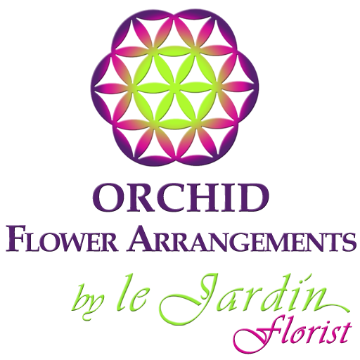 Orchid Arrangements